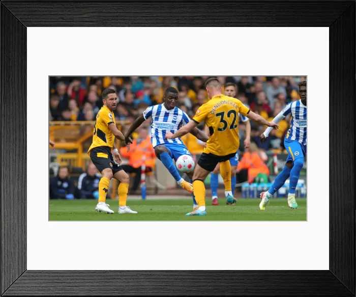 Framed Print : 30APR22: Premier League Showdown - Wolves vs. Brighton at Molineux Stadium Framed Print : 30APR22: Premier League Showdown - Wolves vs. Brighton at Molineux Stadium