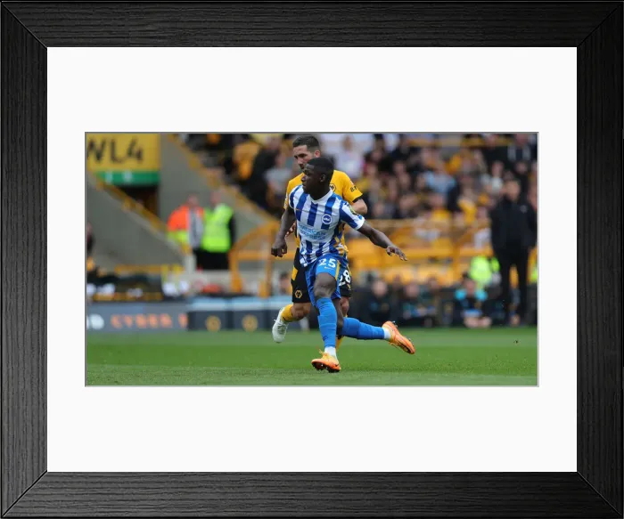 Framed Print : Premier League Showdown: Wolverhampton Wanderers vs. Brighton and Hove Albion (30APR22)