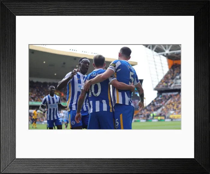 Framed Print : Brighton's Dunk and Welbeck in Action against Wolverhampton Wanderers (30APR22) Framed Print : Brighton's Dunk and Welbeck in Action against Wolverhampton Wanderers (30APR22)