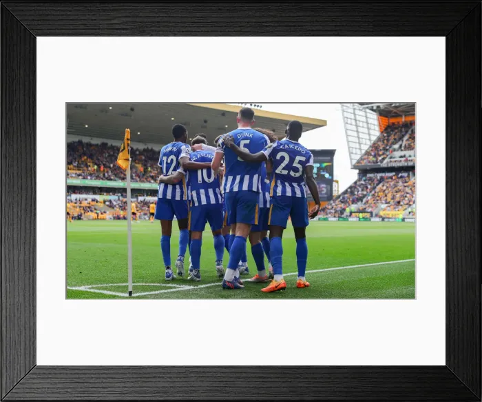Framed Print : Lewis Dunk's Unyielding Defense: Brighton & Hove Albion's Shield Against Wolverhampton Wanderers (30APR22) Framed Print : Lewis Dunk's Unyielding Defense: Brighton & Hove Albion's Shield Against Wolverhampton Wanderers (30APR22)