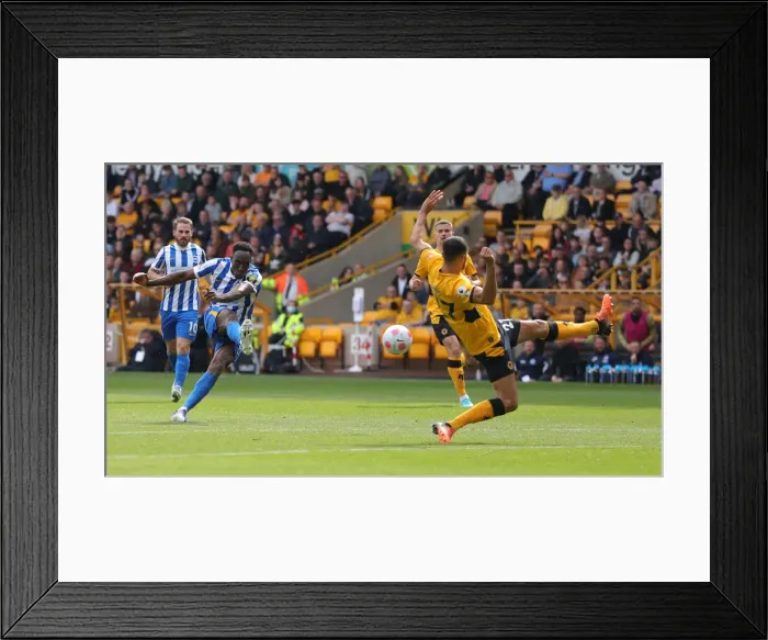 Framed Print : 30APR22: Wolves vs. Brighton - Intense Premier League Clash at Molineux Stadium Framed Print : 30APR22: Wolves vs. Brighton - Intense Premier League Clash at Molineux Stadium