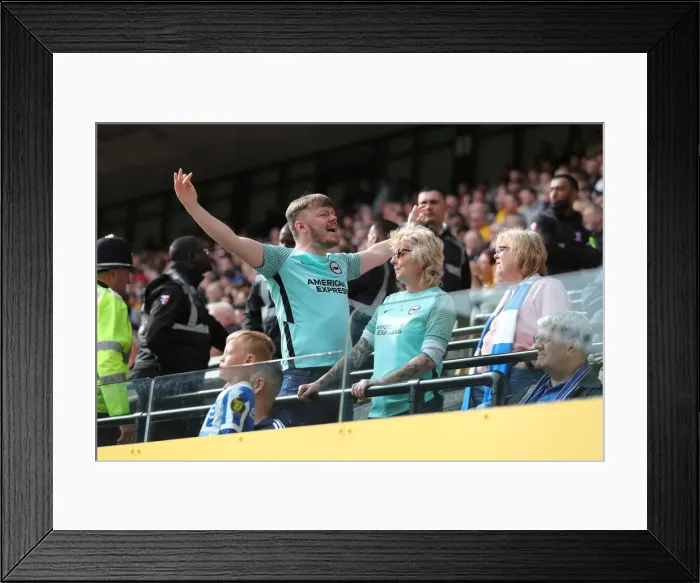 Framed Print : Premier League Showdown: Wolverhampton Wanderers vs Brighton and Hove Albion (30APR22) Framed Print : Premier League Showdown: Wolverhampton Wanderers vs Brighton and Hove Albion (30APR22)
