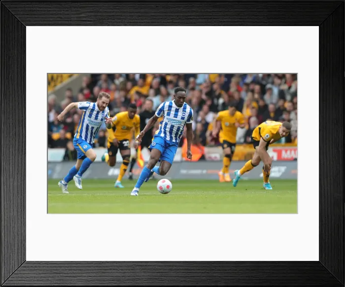 Framed Print : Premier League Showdown: Wolverhampton Wanderers vs Brighton and Hove Albion (30APR22) Framed Print : Premier League Showdown: Wolverhampton Wanderers vs Brighton and Hove Albion (30APR22)