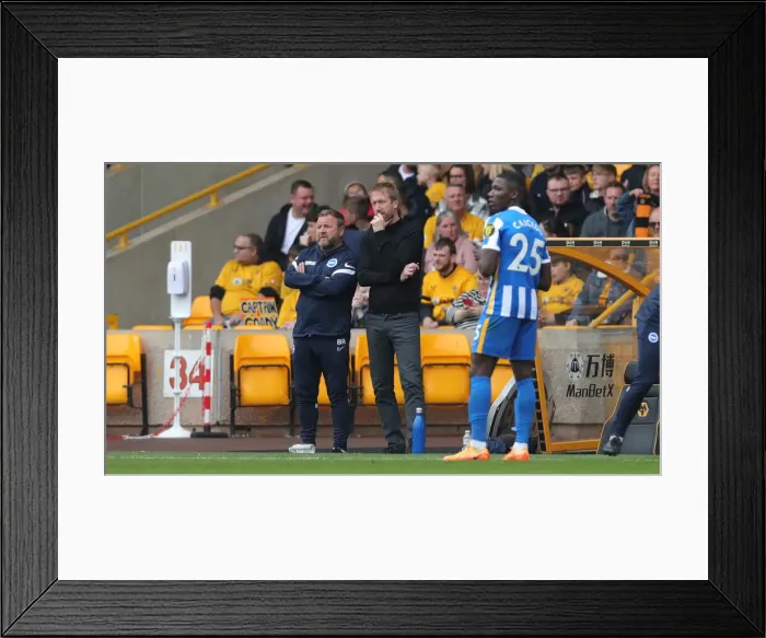 Framed Print : Premier League Battle: Wolverhampton Wanderers vs. Brighton and Hove Albion at Molineux Stadium (30APR22) Framed Print : Premier League Battle: Wolverhampton Wanderers vs. Brighton and Hove Albion at Molineux Stadium (30APR22)
