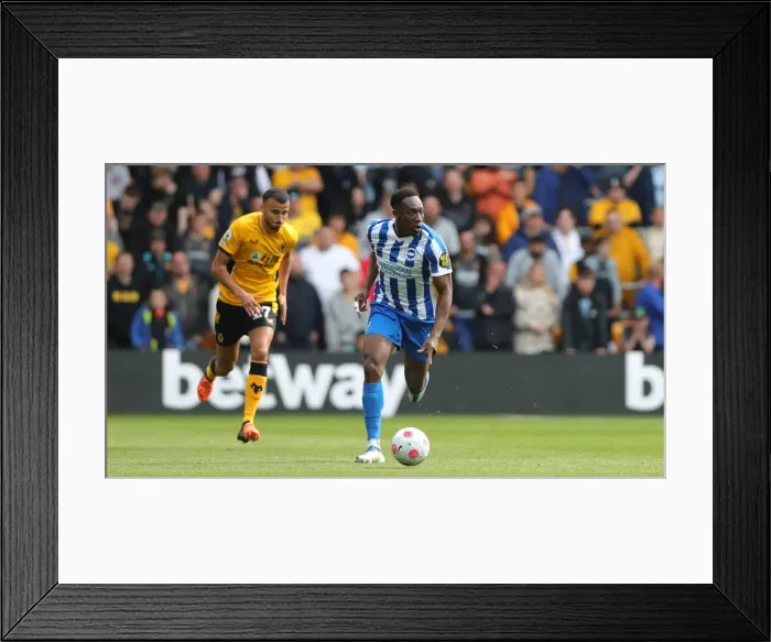 Framed Print : Premier League Clash: Wolverhampton Wanderers vs Brighton and Hove Albion at Molineux Stadium (30 April 2022) Framed Print : Premier League Clash: Wolverhampton Wanderers vs Brighton and Hove Albion at Molineux Stadium (30 April 2022)