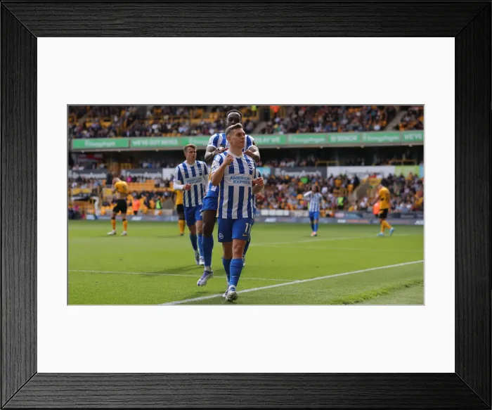 Framed Print : Premier League Clash: Wolverhampton Wanderers vs. Brighton and Hove Albion at Molineux Stadium (30APR22) Framed Print : Premier League Clash: Wolverhampton Wanderers vs. Brighton and Hove Albion at Molineux Stadium (30APR22)