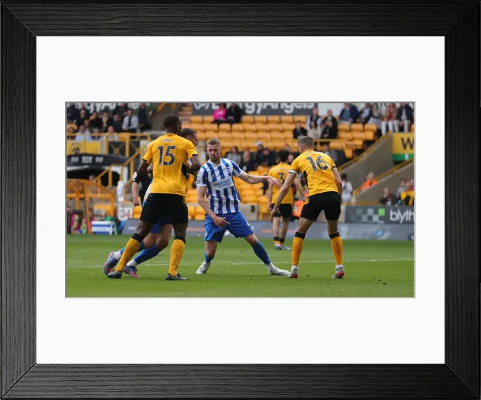 Framed Print : Wolverhampton Wanderers vs. Brighton and Hove Albion: A Premier League Battle at Molineux Stadium (30APR22) Framed Print : Wolverhampton Wanderers vs. Brighton and Hove Albion: A Premier League Battle at Molineux Stadium (30APR22)