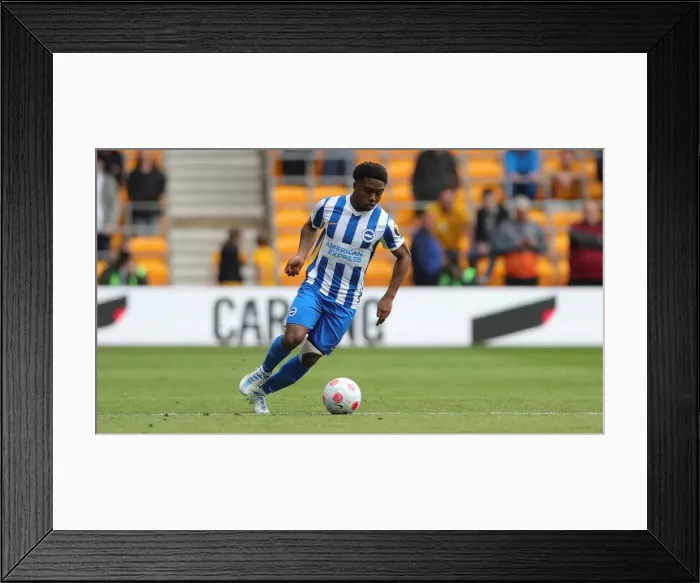 Framed Print : Premier League Battle: Wolverhampton Wanderers vs Brighton and Hove Albion at Molineux Stadium (30APR22) Framed Print : Premier League Battle: Wolverhampton Wanderers vs Brighton and Hove Albion at Molineux Stadium (30APR22)