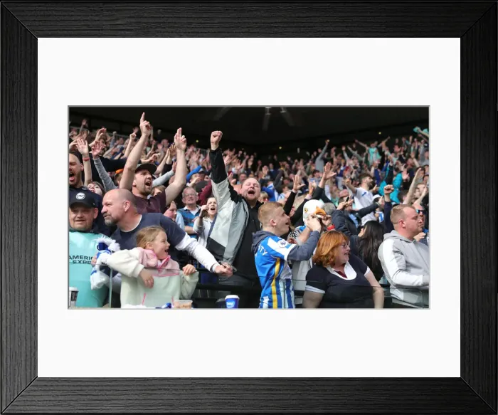 Framed Print : Premier League Showdown: Wolverhampton Wanderers vs. Brighton and Hove Albion (30APR22) Framed Print : Premier League Showdown: Wolverhampton Wanderers vs. Brighton and Hove Albion (30APR22)