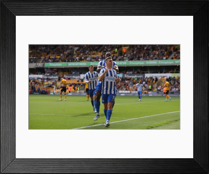 Framed Print : Premier League Battle: Wolverhampton Wanderers vs. Brighton and Hove Albion at Molineux Stadium (30APR22) Framed Print : Premier League Battle: Wolverhampton Wanderers vs. Brighton and Hove Albion at Molineux Stadium (30APR22)