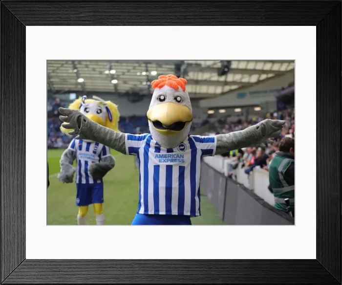 Framed Print : Intense Premier League Showdown: Brighton & Hove Albion vs Manchester United (7 May 2022)