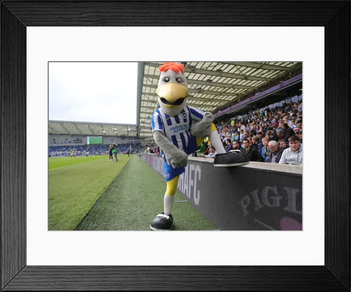 Framed Print : Intense Premier League Showdown: Brighton & Hove Albion vs Manchester United (7 May 2022) Framed Print : Intense Premier League Showdown: Brighton & Hove Albion vs Manchester United (7 May 2022)