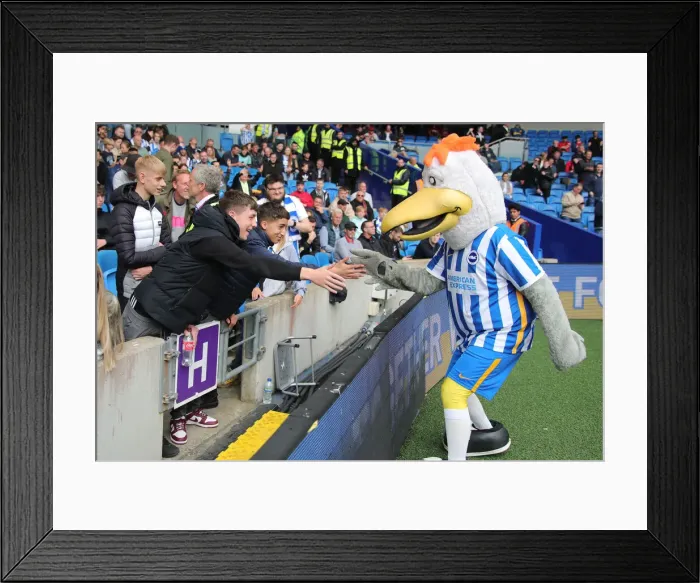 Framed Print : Intense Premier League Showdown: Brighton & Hove Albion vs Manchester United (7 May 2022) Framed Print : Intense Premier League Showdown: Brighton & Hove Albion vs Manchester United (7 May 2022)