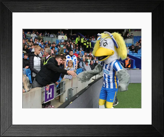 Framed Print : Intense Premier League Showdown: Brighton & Hove Albion vs Manchester United (7 May 2022) Framed Print : Intense Premier League Showdown: Brighton & Hove Albion vs Manchester United (7 May 2022)