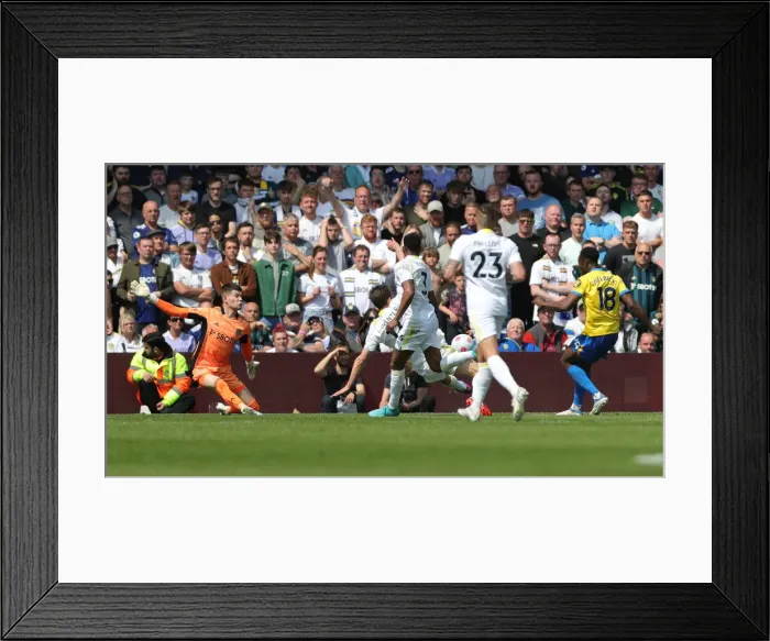 Framed Print : Premier League Showdown: Leeds United vs. Brighton & Hove Albion (15May22) Framed Print : Premier League Showdown: Leeds United vs. Brighton & Hove Albion (15May22)