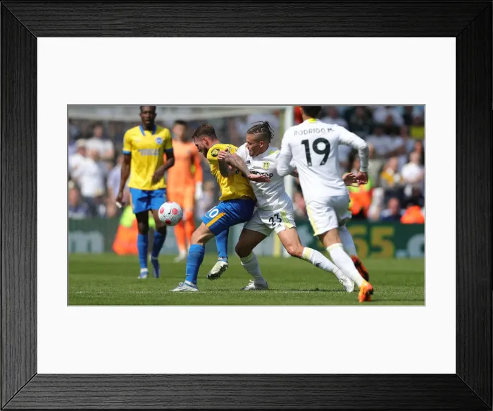Framed Print : Premier League Showdown: Leeds United vs. Brighton & Hove Albion (15May22) Framed Print : Premier League Showdown: Leeds United vs. Brighton & Hove Albion (15May22)