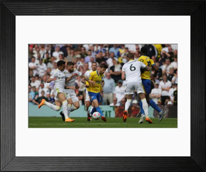 Framed Print : 15MAY22: Leeds United vs. Brighton and Hove Albion - Premier League Clash at Elland Road Framed Print : 15MAY22: Leeds United vs. Brighton and Hove Albion - Premier League Clash at Elland Road