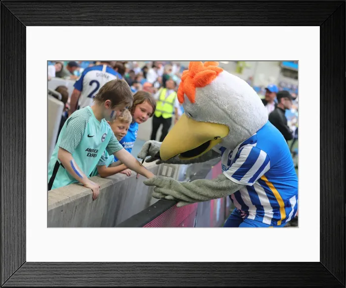 Framed Print : Intense Premier League Showdown: Brighton & Hove Albion vs. West Ham United (22May22) Framed Print : Intense Premier League Showdown: Brighton & Hove Albion vs. West Ham United (22May22)