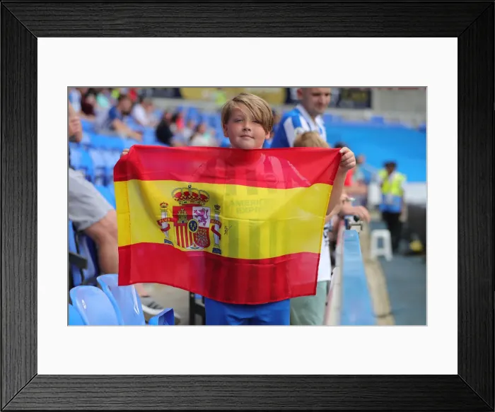 Framed Print : Brighton and Hove Albion Face Reading in Pre-Season Friendly at Select Car Leasing Stadium (23JUL22) Framed Print : Brighton and Hove Albion Face Reading in Pre-Season Friendly at Select Car Leasing Stadium (23JUL22)