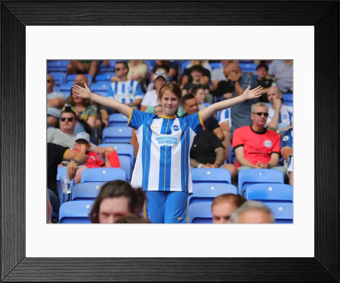 Framed Print : Brighton and Hove Albion Take on Reading in Exciting 2022 Pre-Season Showdown at Select Car Leasing Stadium Framed Print : Brighton and Hove Albion Take on Reading in Exciting 2022 Pre-Season Showdown at Select Car Leasing Stadium