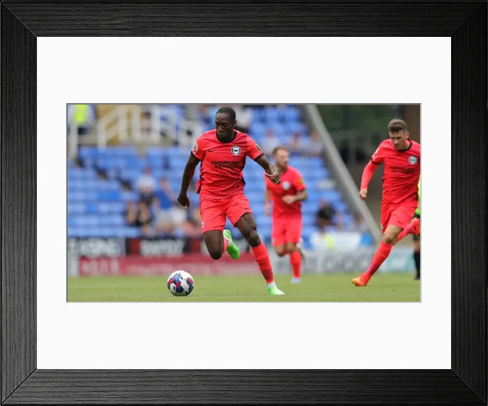 Framed Print : Brighton and Hove Albion Face Off Against Reading in Pre-Season Friendly at Select Car Leasing Stadium (23JUL22) Framed Print : Brighton and Hove Albion Face Off Against Reading in Pre-Season Friendly at Select Car Leasing Stadium (23JUL22)
