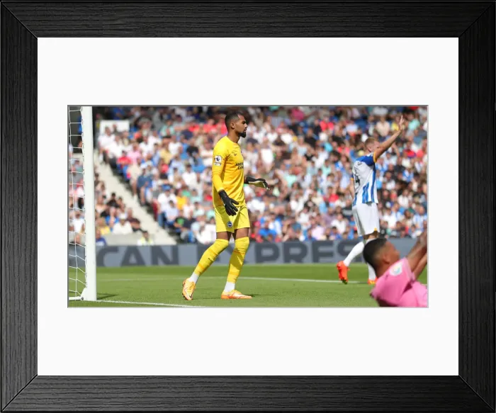 Framed Print : Brighton & Hove Albion vs Espanyol: Pre-Season Showdown at American Express Community Stadium (30.07.22)