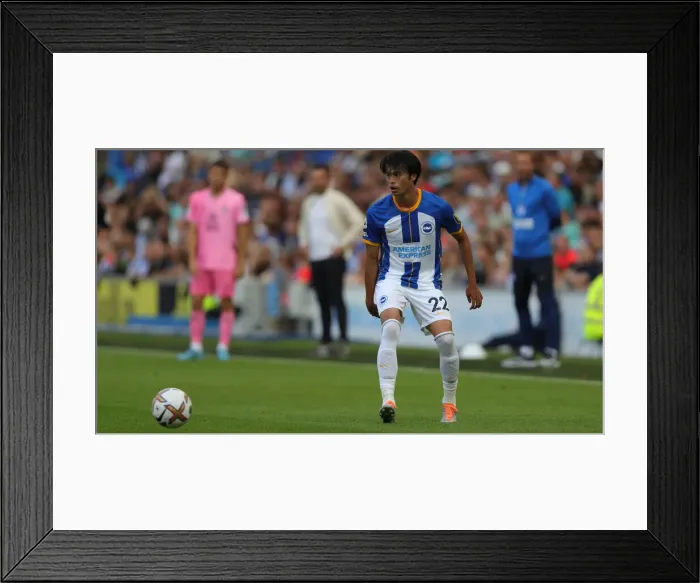 Framed Print : Brighton & Hove Albion vs. Espanyol: 30th July 2022 - Pre-Season Clash at American Express Community Stadium