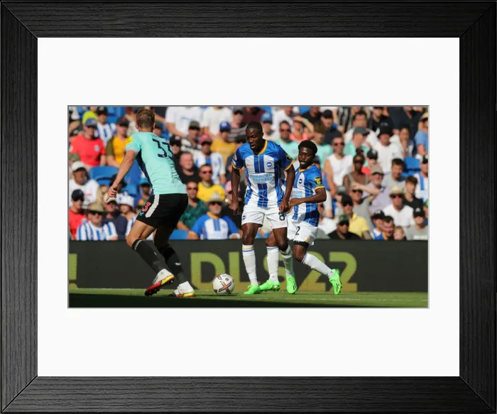 Framed Print : Premier League Showdown: Brighton & Hove Albion vs. Newcastle United (13AUG22) Framed Print : Premier League Showdown: Brighton & Hove Albion vs. Newcastle United (13AUG22)
