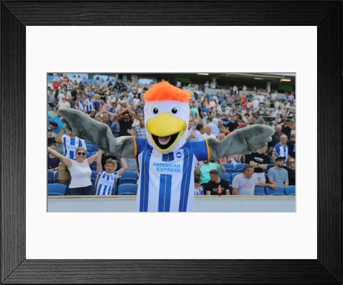 Framed Print : Premier League Showdown: Brighton & Hove Albion vs. Newcastle United (13AUG22) Framed Print : Premier League Showdown: Brighton & Hove Albion vs. Newcastle United (13AUG22)