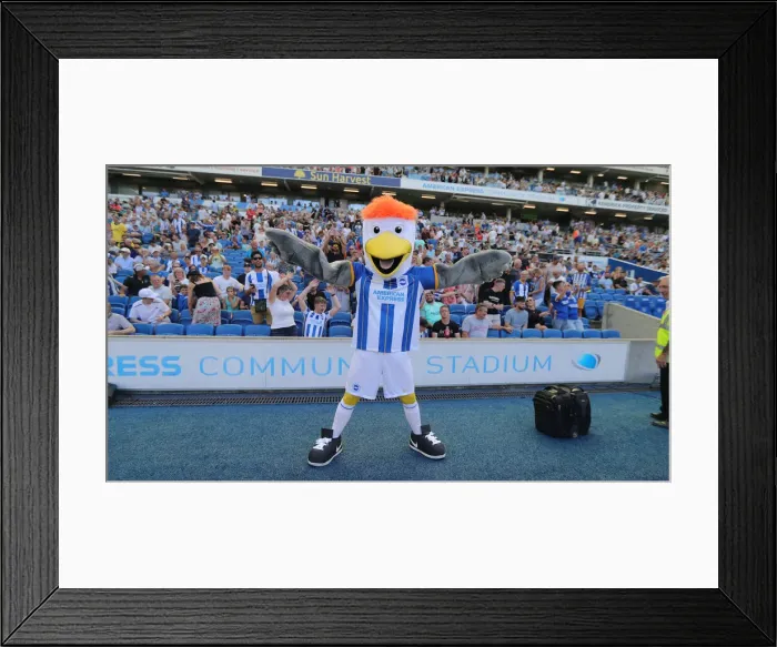 Framed Print : Premier League Showdown: Brighton & Hove Albion vs. Newcastle United (13AUG22) Framed Print : Premier League Showdown: Brighton & Hove Albion vs. Newcastle United (13AUG22)