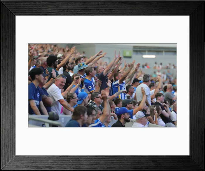Framed Print : Premier League Showdown: Brighton & Hove Albion vs. Newcastle United (13AUG22) Framed Print : Premier League Showdown: Brighton & Hove Albion vs. Newcastle United (13AUG22)