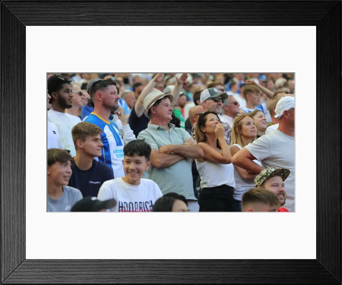 Framed Print : Brighton and Hove Albion vs. Newcastle United: 2022 / 23 Premier League Battle at American Express Community Stadium Framed Print : Brighton and Hove Albion vs. Newcastle United: 2022 / 23 Premier League Battle at American Express Community Stadium