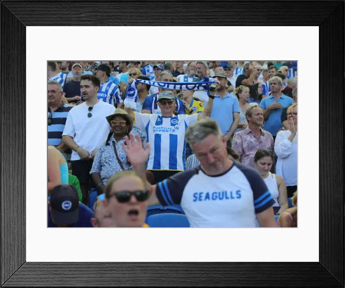 Framed Print : Brighton & Hove Albion vs. Newcastle United: 2022 / 23 Premier League Battle at American Express Community Stadium