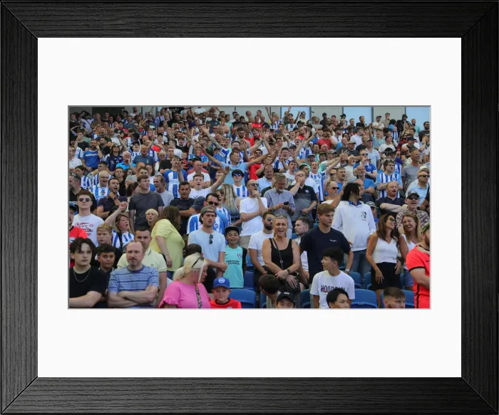 Framed Print : 2022 / 23 Premier League: Brighton & Hove Albion vs. Newcastle United - American Express Community Stadium Showdown Framed Print : 2022 / 23 Premier League: Brighton & Hove Albion vs. Newcastle United - American Express Community Stadium Showdown