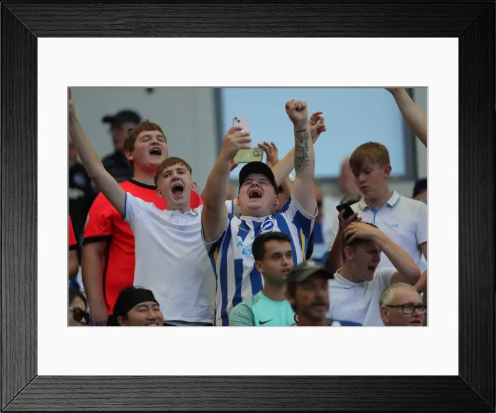 Framed Print : Brighton & Hove Albion vs. Newcastle United: 2022 / 23 Premier League Battle at American Express Community Stadium