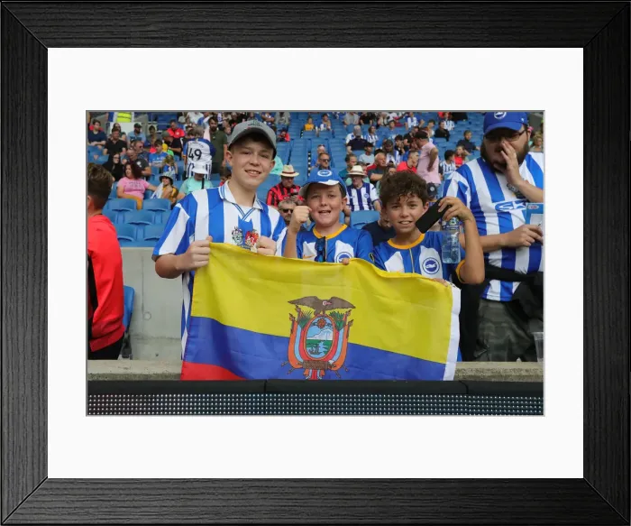Framed Print : Brighton vs Leeds United: Premier League Showdown at American Express Community Stadium (27AUG22) Framed Print : Brighton vs Leeds United: Premier League Showdown at American Express Community Stadium (27AUG22)