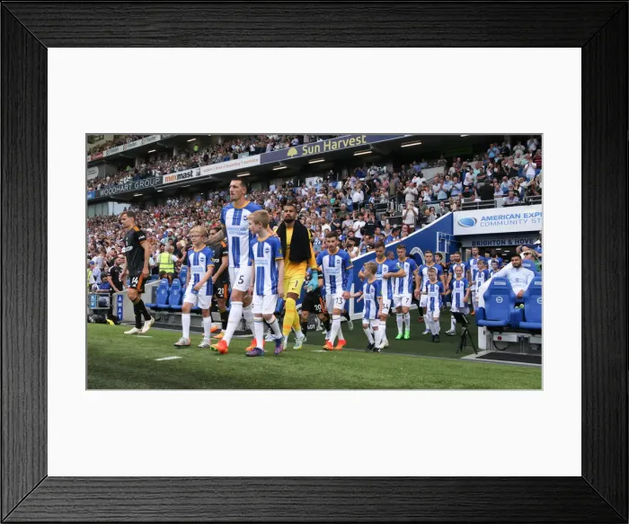 Framed Print : Brighton vs. Leeds: 2022 / 23 Premier League Battle at American Express Community Stadium Framed Print : Brighton vs. Leeds: 2022 / 23 Premier League Battle at American Express Community Stadium