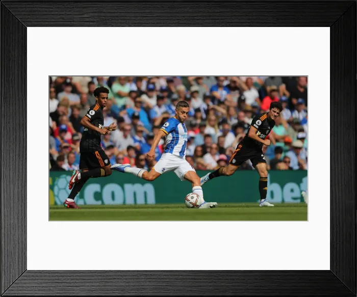 Framed Print : Premier League Showdown: Brighton & Hove Albion vs Leeds United (27.08.22)