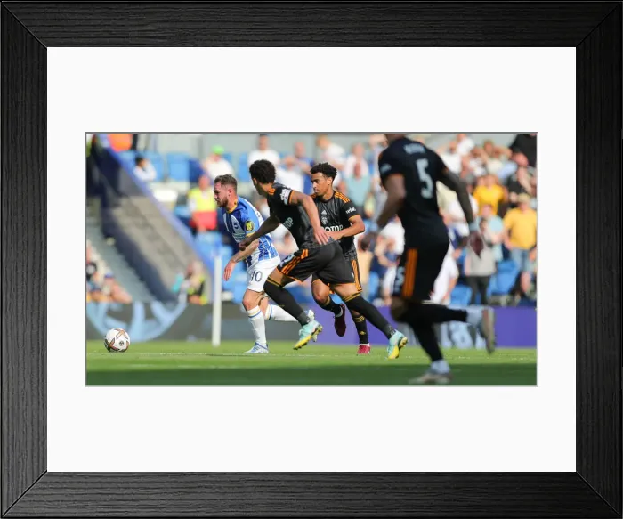 Framed Print : Premier League Showdown: Brighton vs Leeds (27.08.22) - American Express Community Stadium