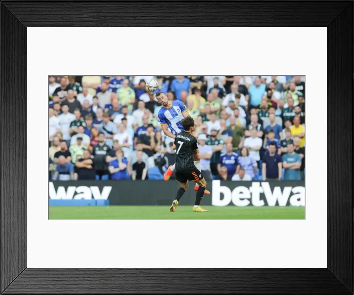 Framed Print : Brighton vs Leeds United: 2022 / 23 Premier League Battle at American Express Community Stadium