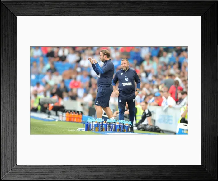 Framed Print : Brighton vs. Leeds United: 2022 / 23 Premier League Battle at American Express Community Stadium Framed Print : Brighton vs. Leeds United: 2022 / 23 Premier League Battle at American Express Community Stadium