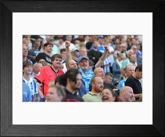 Framed Print : Brighton vs Leeds United: 2022 / 23 Premier League Showdown at American Express Community Stadium Framed Print : Brighton vs Leeds United: 2022 / 23 Premier League Showdown at American Express Community Stadium