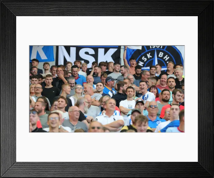 Framed Print : Premier League Showdown: Brighton & Hove Albion vs. Leeds United (27AUG22)