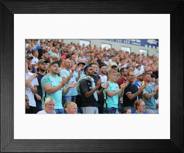 Framed Print : Brighton vs Leeds United: 2022 / 23 Premier League Battle at American Express Community Stadium Framed Print : Brighton vs Leeds United: 2022 / 23 Premier League Battle at American Express Community Stadium