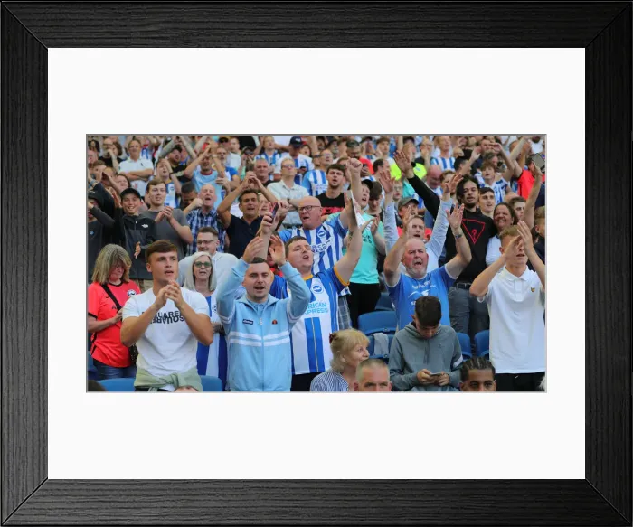 Framed Print : Brighton vs Leeds United: 2022 / 23 Premier League Battle at American Express Community Stadium Framed Print : Brighton vs Leeds United: 2022 / 23 Premier League Battle at American Express Community Stadium