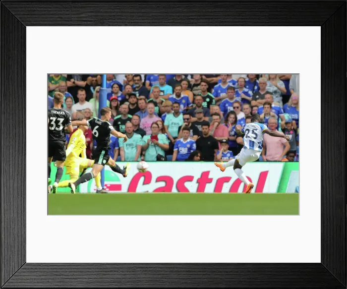 Framed Print : Brighton & Hove Albion vs. Leicester City: 2022 / 23 Premier League Showdown at American Express Community Stadium Framed Print : Brighton & Hove Albion vs. Leicester City: 2022 / 23 Premier League Showdown at American Express Community Stadium