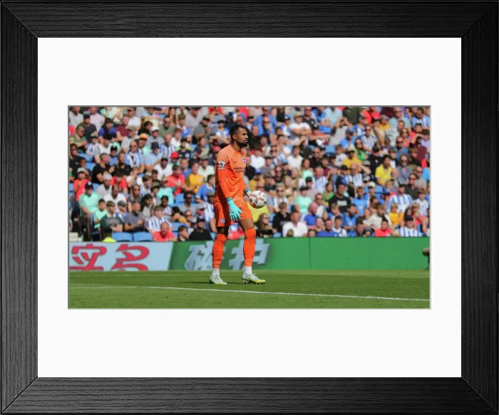 Framed Print : Brighton & Hove Albion vs. Leicester City: 2022 / 23 Premier League Showdown at American Express Community Stadium Framed Print : Brighton & Hove Albion vs. Leicester City: 2022 / 23 Premier League Showdown at American Express Community Stadium