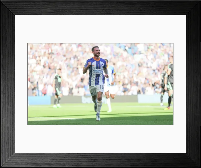 Framed Print : Brighton & Hove Albion vs. Leicester City: 2022 / 23 Premier League Showdown at American Express Community Stadium Framed Print : Brighton & Hove Albion vs. Leicester City: 2022 / 23 Premier League Showdown at American Express Community Stadium