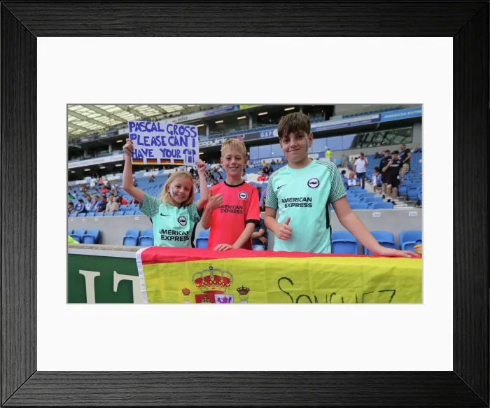 Framed Print : Brighton & Hove Albion vs Leicester City: 2022 / 23 Premier League Showdown at American Express Community Stadium Framed Print : Brighton & Hove Albion vs Leicester City: 2022 / 23 Premier League Showdown at American Express Community Stadium