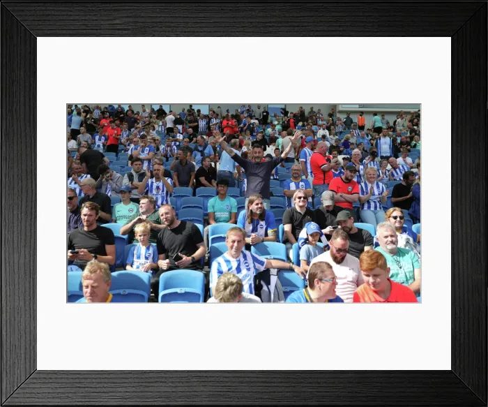 Framed Print : Brighton & Hove Albion vs. Leicester City: 2022 / 23 Premier League Showdown at American Express Community Stadium Framed Print : Brighton & Hove Albion vs. Leicester City: 2022 / 23 Premier League Showdown at American Express Community Stadium